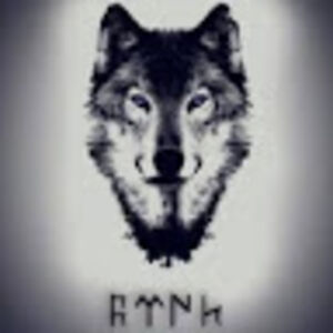 illogicalwolfie13 avatar