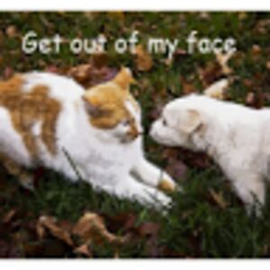 jessicajacobs avatar