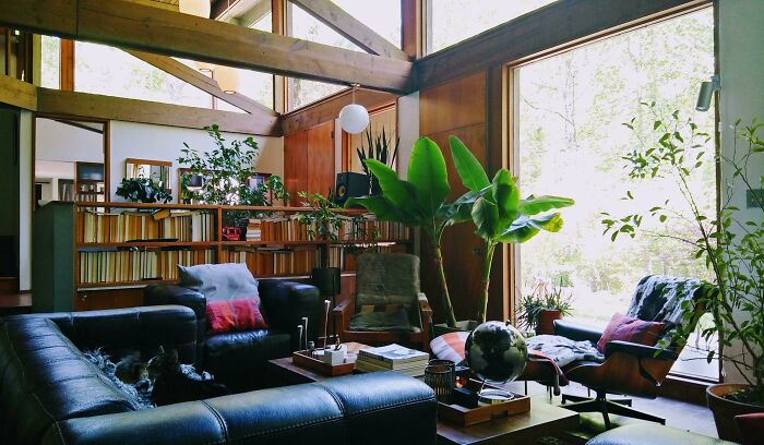 North Carolina Living Room