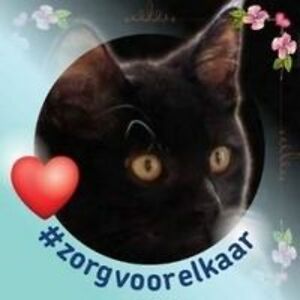 peter_baccaert avatar