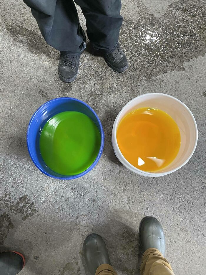 The Same Color Liquid In Different Colored Buckets Makes For An Interesting Comparison
