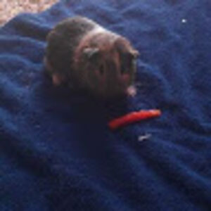 auroraandmore avatar