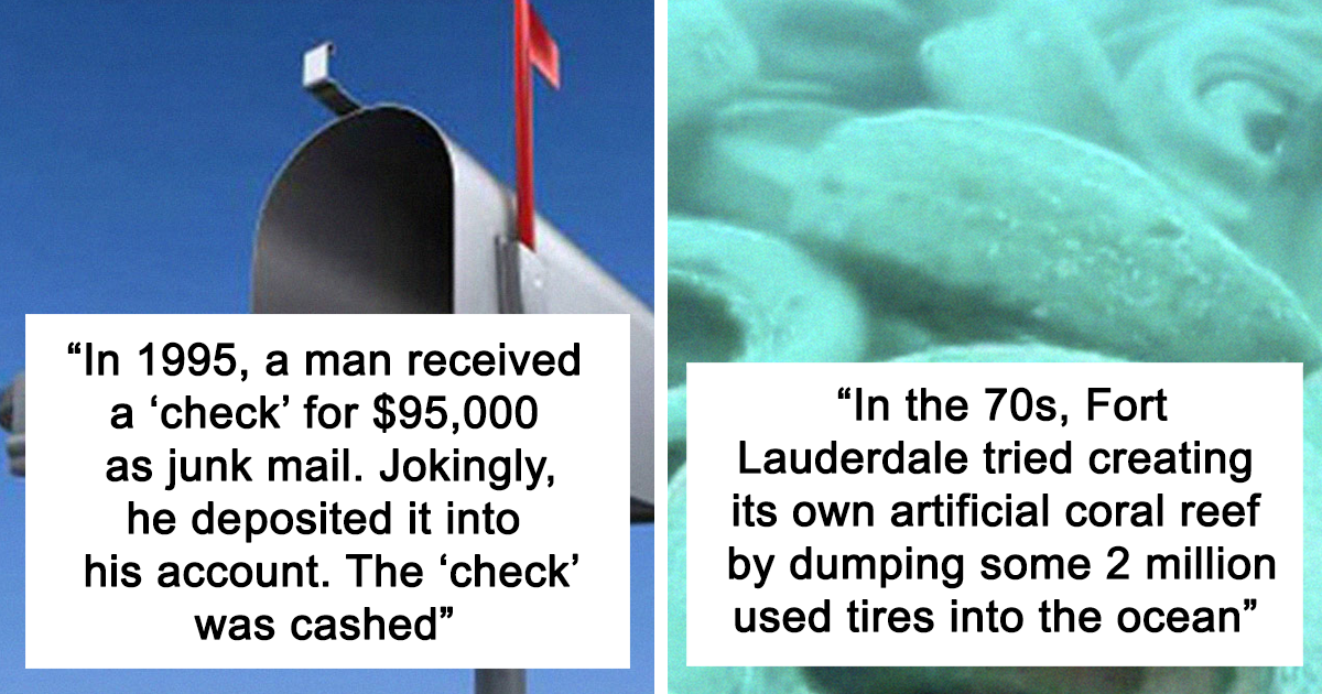 Two interesting facts shared online about things people didnu2019t learn at school, including junk mail check and artificial reefs.