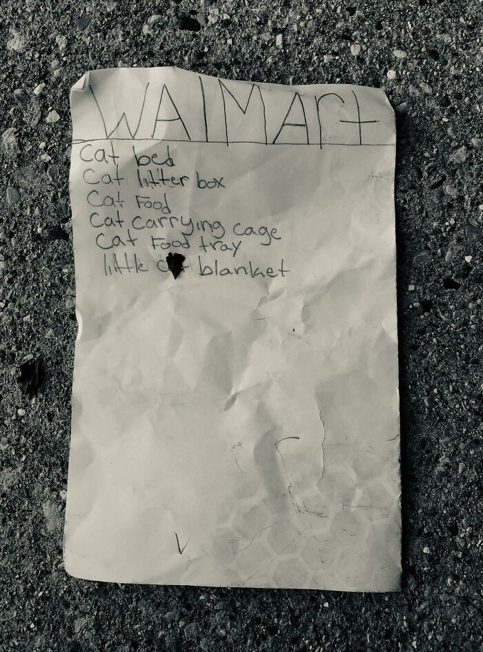 Found Outside The Humane Society. Somebody Got A Cat