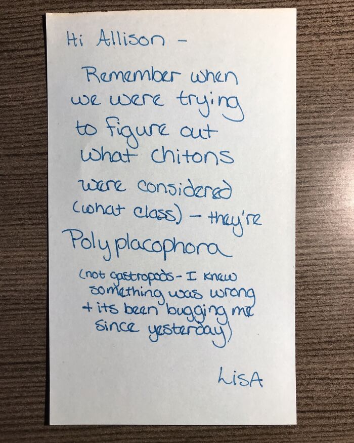 Lisa’s Research Game Is On Point