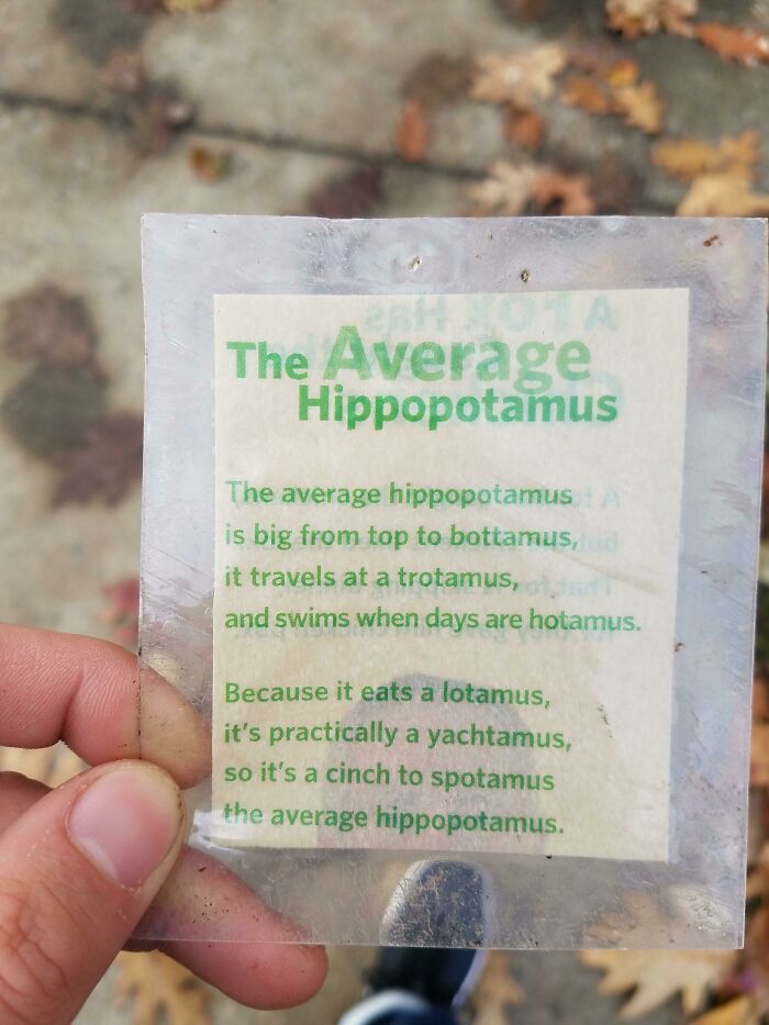 Found On My Way To Class This Morning