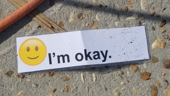 Found While Walking Home Yesterday