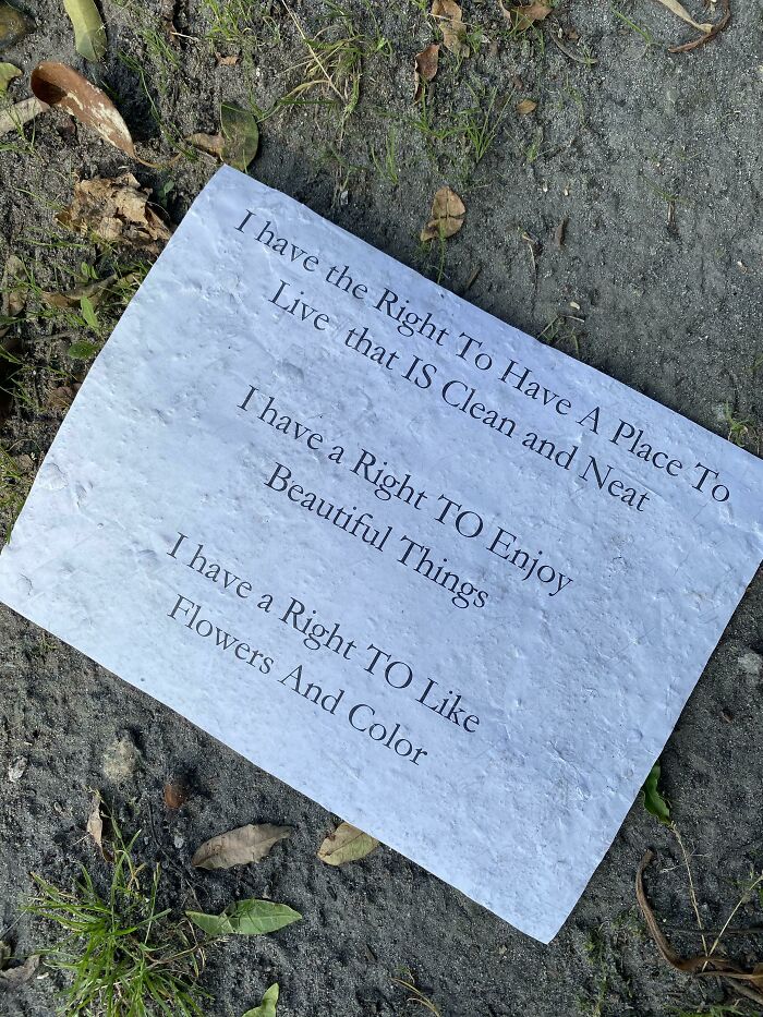 The Right To Enjoy Beautiful Things