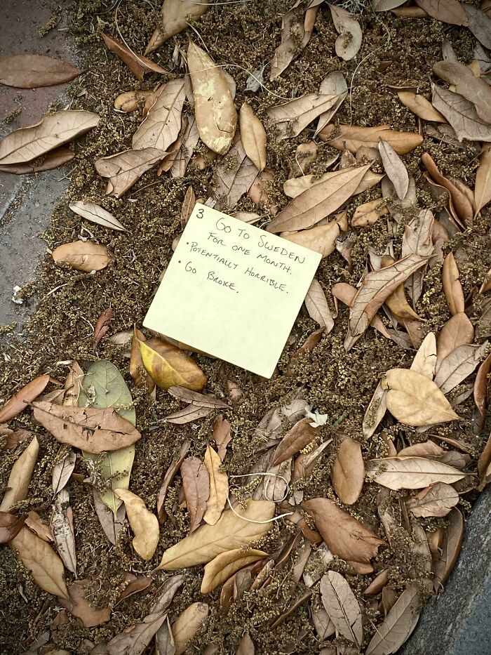 3rd Option Ended Up In The Gutter