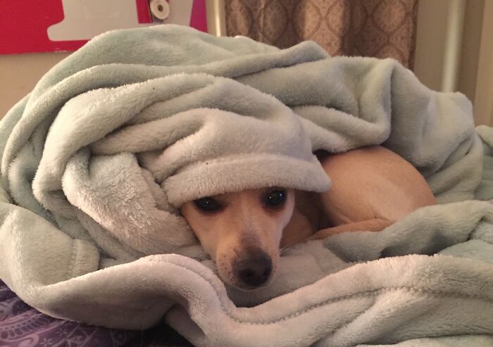 Beautiful Hope Kalani