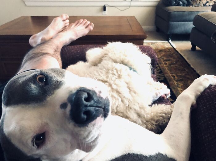 They Really Miss Dad After A Long Day At Work