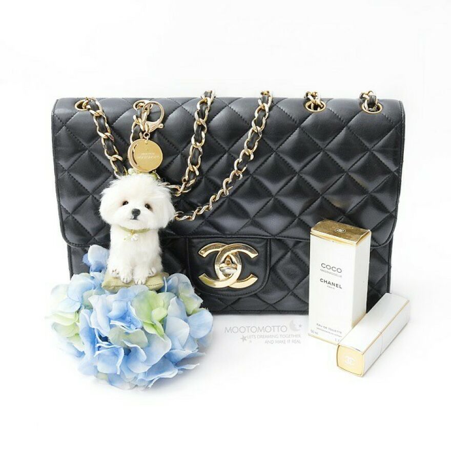 Maltese From Real Look Series 😄🙌💞
#reallookseriesmootomotto #needlefelted #ニードルフェルト 💐beautiful Hydrangea Flower By @tiffanypfc Thank You😚💐