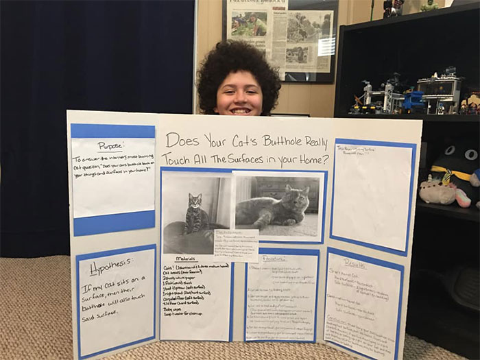 This 6th Grader Wanted To See How Many Surfaces Your Cat’s Butt Touches In Your Home, So He Did An Experiment