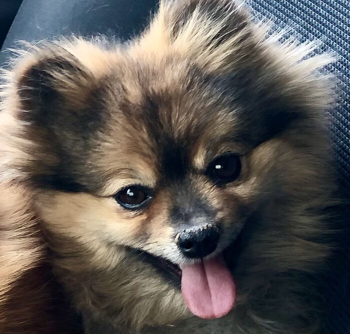 Lulu Never Has A Bad Day.