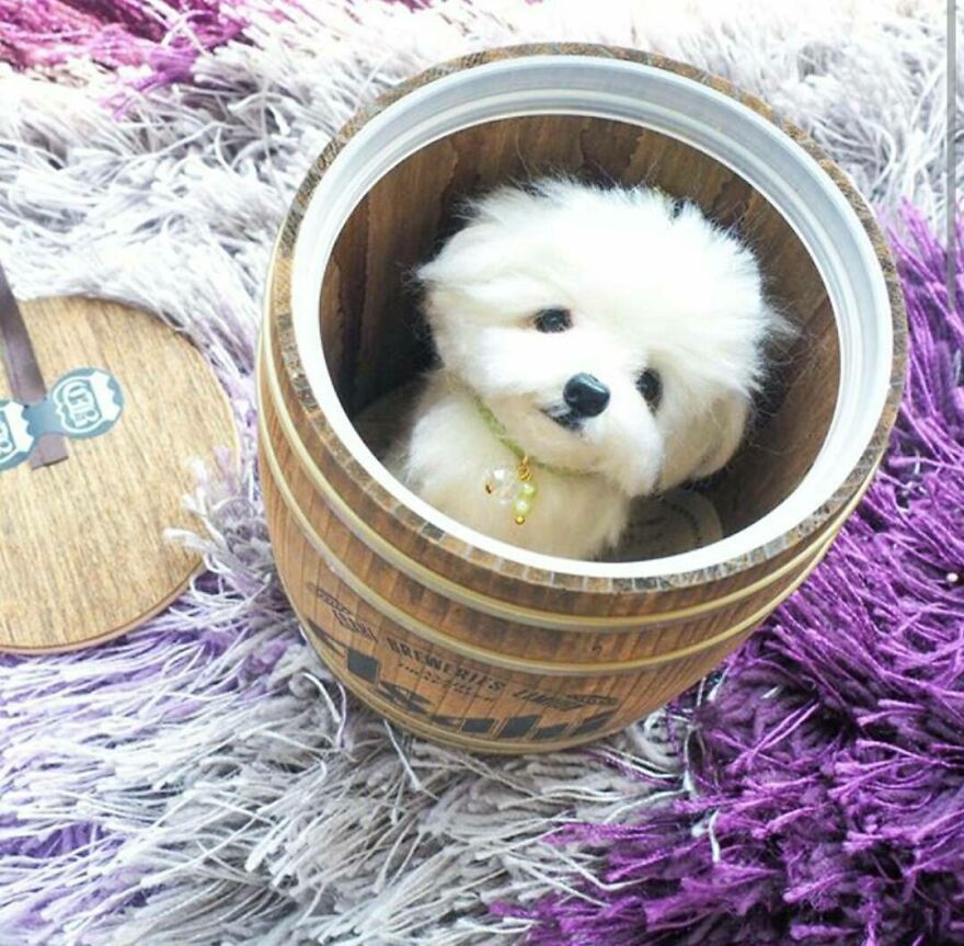 Zoom Real Look Maltese 😀🔎💞
photo Taken By @yuyusoeteja 📷💚
#reallookseriesmootomotto #needlefelted #ニードルフェルト