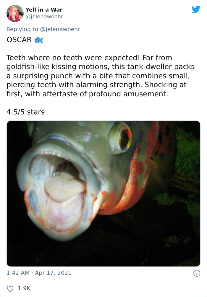 Animal-Bites-Being-Bitten-Review-Ranking-Twitter