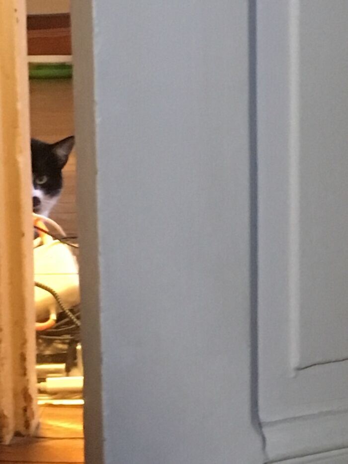 A Rare Image Of My Very Shy Foster