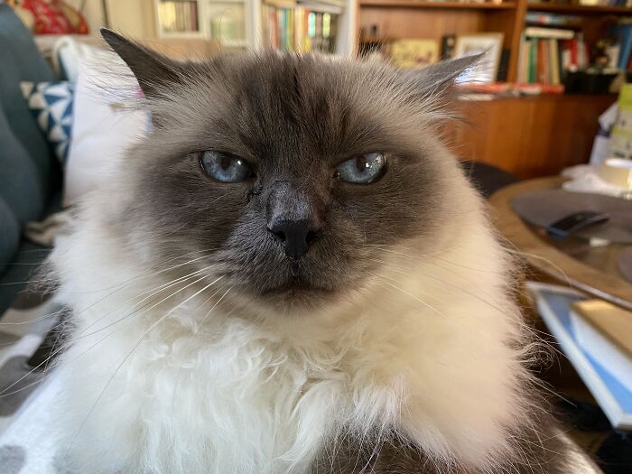 Go On, I Dare You...