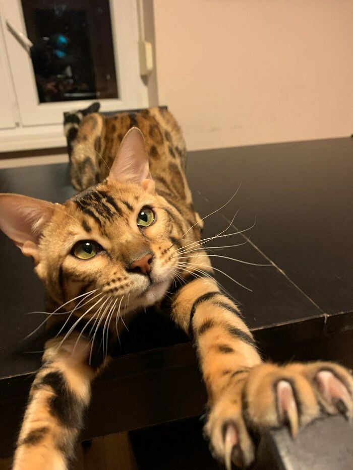 What Doesn't Kill Me, Better Run!