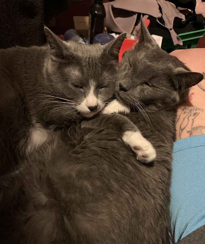 Kaya (4) And Kua (15) ❤️