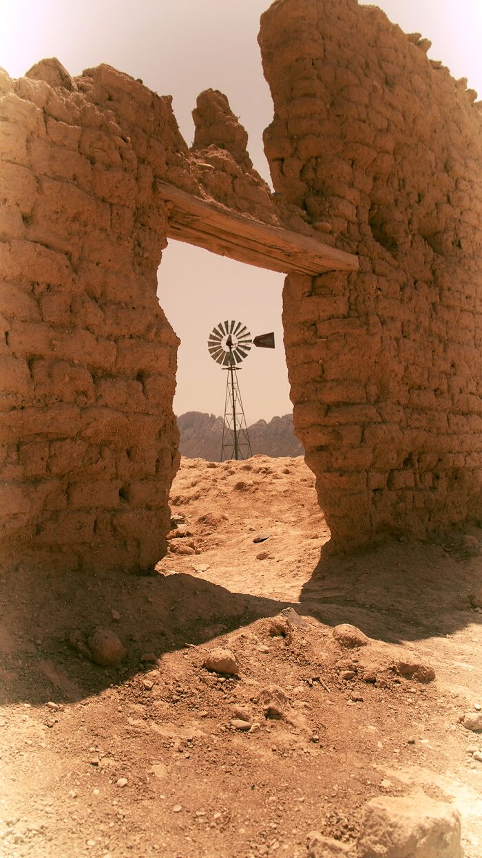 Here’s What I Did.