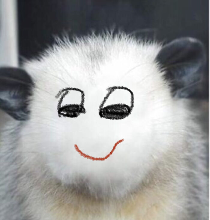 I Thought He Might Look A Little Derpy