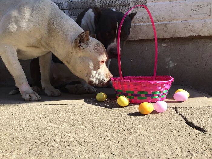 My Beast Boy And Keyway