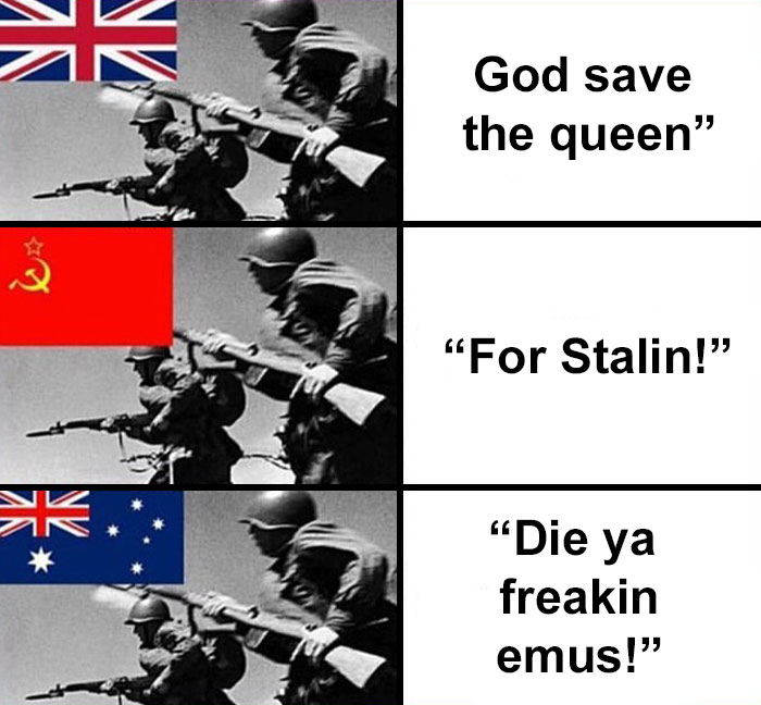 ➡️🔥s W I P E 🔥➡️ To Learn The History Behind The Meme
•
•
•
•
follow @educational.history.memes For More Memes With Informative Explanations