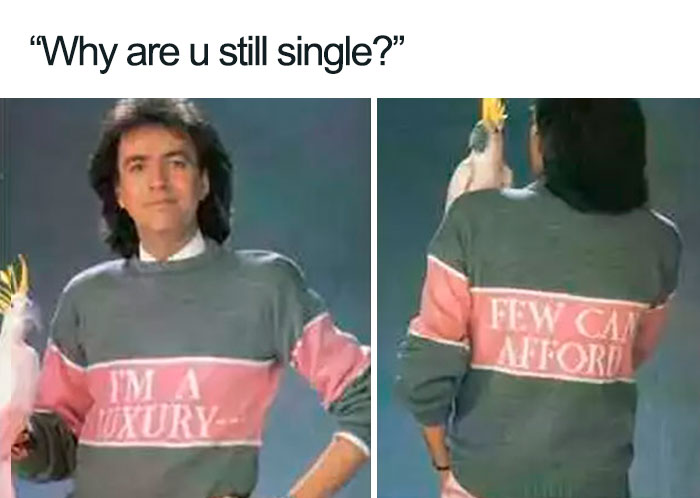 A person wearing a sweater with "I'm a luxury... few can afford" on the back, capturing the single life humor.