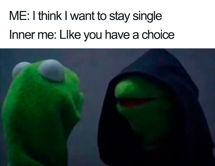 Kermit meme humorously depicting the inner conflict of being single.