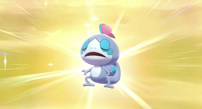 Today-I-Learned-Til-Amazing-Facts