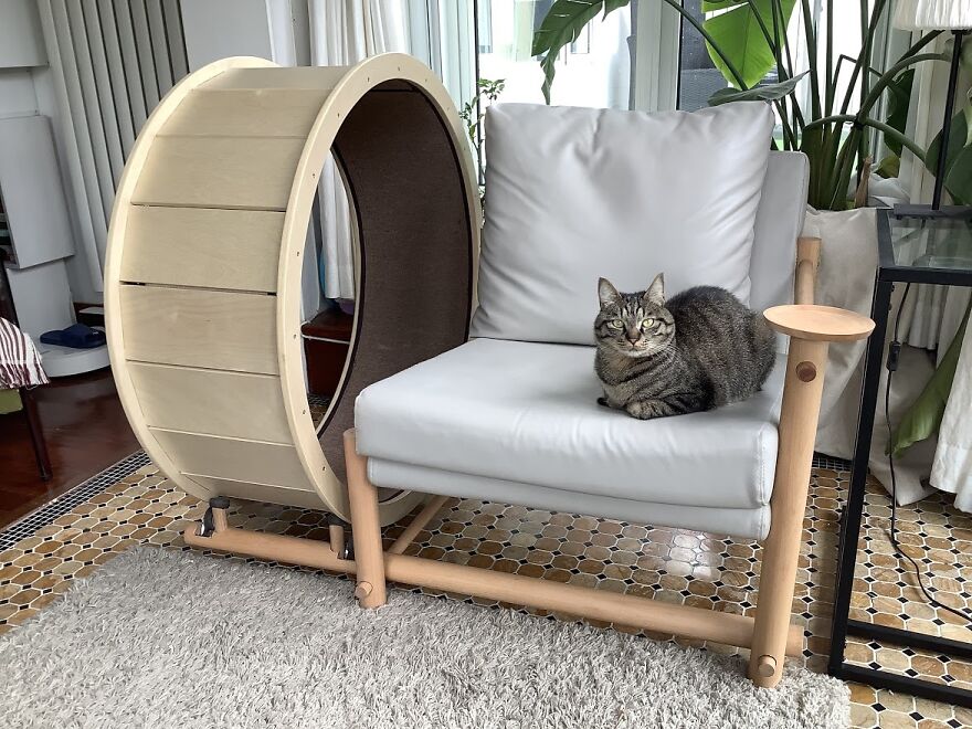 A Chair With An Integrated Running Wheel Was Invented For Cat Lovers A Chair With An Integrated Running Wheel Was Invented For Cat Lovers