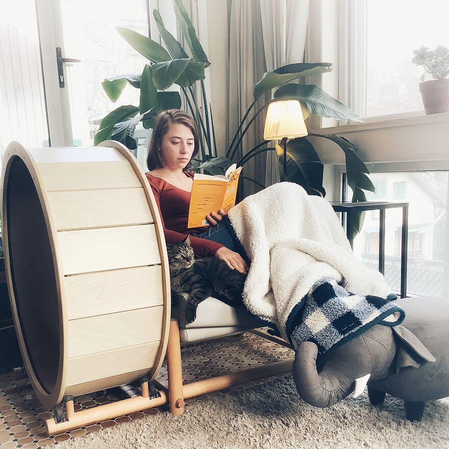 A Chair With An Integrated Running Wheel Was Invented For Cat Lovers A Chair With An Integrated Running Wheel Was Invented For Cat Lovers