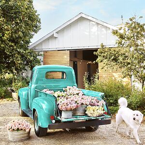 heidihovis1982 avatar