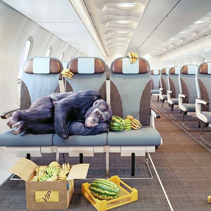 An Interior And Game Designer Transforms Popular Home Design Into Surrealist Art (32 Pics)