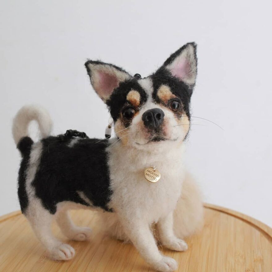 I Bet Your Dog Will Be Very Happy To See You Stay At Home All Day Long! 🐶🤩
.
tag Your Friends And Tell Them To Make Their Pet Happy! 😆❤️
.
#stayathome #dirumahaja
#reallookseriesmootomotto #chihuahua