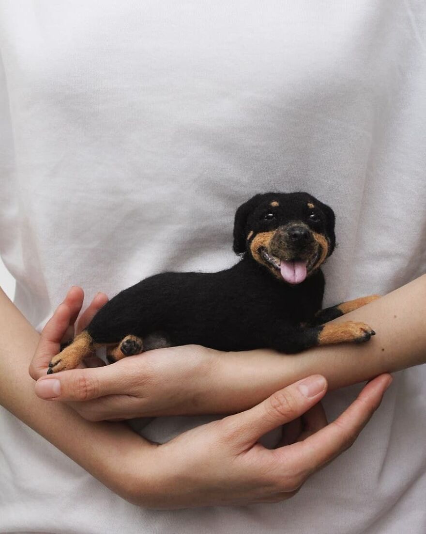 🖤favorite Hello, Hardest Good Bye..
#vega
.
#dog #rottweiler #pet #reallookseriesmootomotto