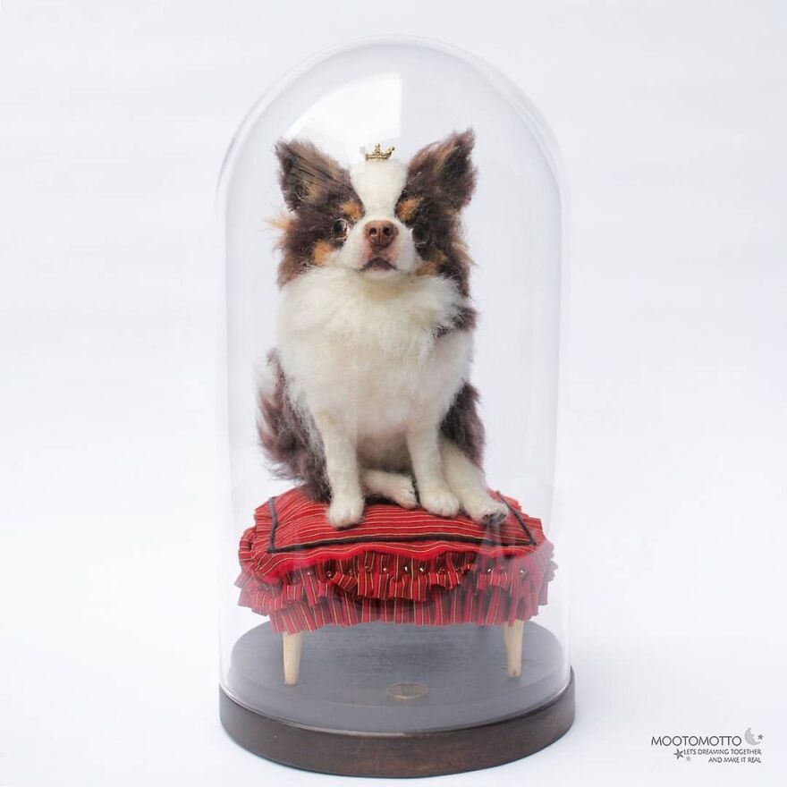 Prince 'Princeton' 🖤
swipe Till End To See The Real Dog ➡️
.
#reallookseriesmootomotto #needlefelt #longhairchihuahua #chihuahua #mminsidetheglass