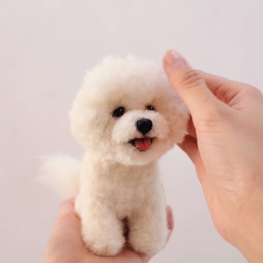 Good Boy🐕❤️
#bischonfrise #reallookseriesmootomotto #dogofinstagram