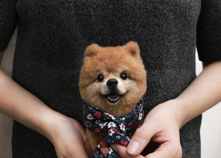 Source Of Happiness 🖤
.
#reallookseriesmootomotto #pomeranian #needlefelt
