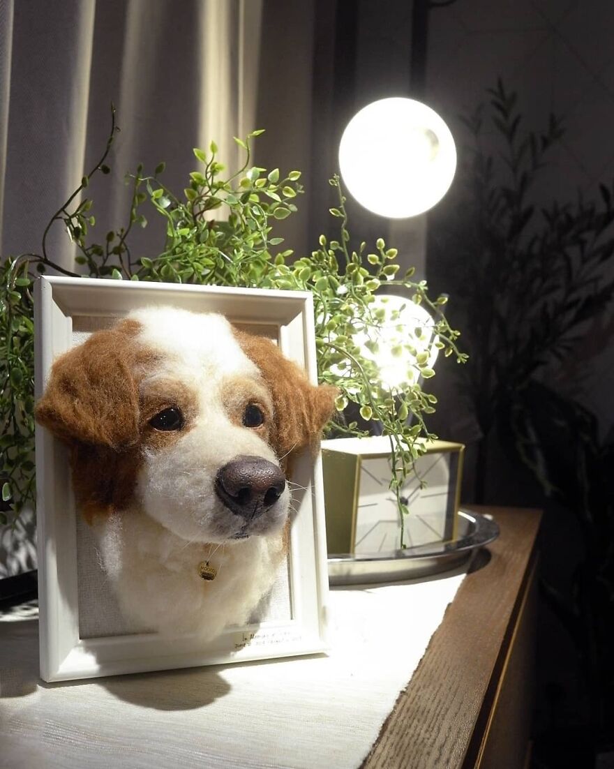 Hi Cilky 🖤
i Never Meet You Personally, But I Feel In Love With Your Calm And Handsome Face😘
.
#reallookseriesmootomotto #needlefelt #mixbreed #homedecor