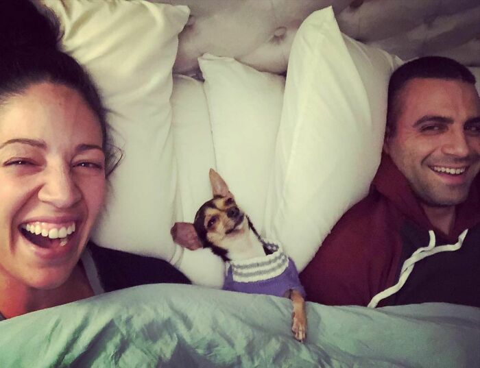 First Night From The Shelter To The New Home. I Stole Their Hearts And Their Bed. I Made Myself All Nice And Comfy There