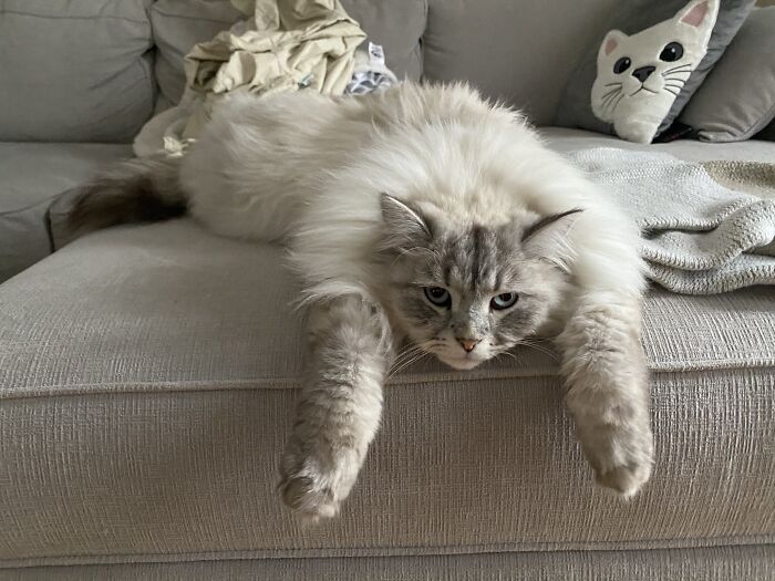 ... I Get It... You’re Bored!