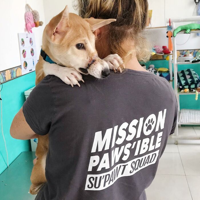 This Dog Ran Away From An Illegal Meat Farm In Bali, We Helped Her Heal And Found Her A Home This Dog Ran Away From An Illegal Meat Farm In Bali, We Helped Her Heal And Found Her A Home