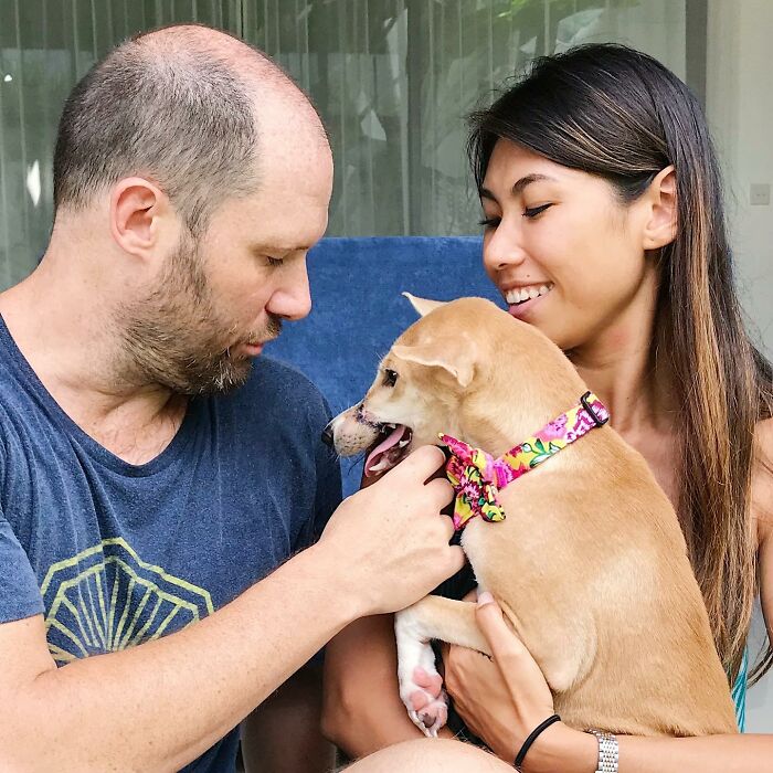 This Dog Ran Away From An Illegal Meat Farm In Bali, We Helped Her Heal And Found Her A Home This Dog Ran Away From An Illegal Meat Farm In Bali, We Helped Her Heal And Found Her A Home