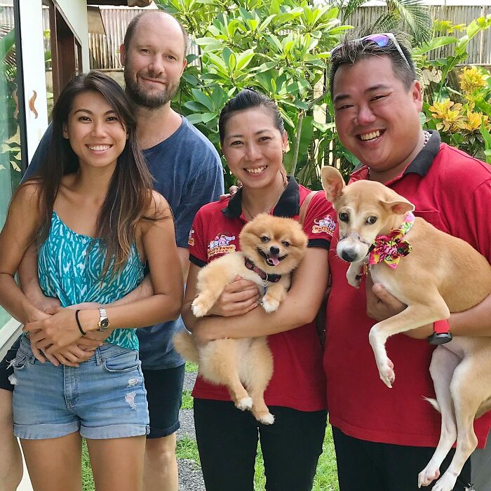 This Dog Ran Away From An Illegal Meat Farm In Bali, We Helped Her Heal And Found Her A Home This Dog Ran Away From An Illegal Meat Farm In Bali, We Helped Her Heal And Found Her A Home