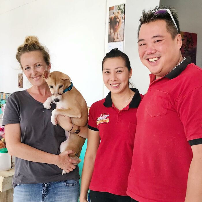 This Dog Ran Away From An Illegal Meat Farm In Bali, We Helped Her Heal And Found Her A Home This Dog Ran Away From An Illegal Meat Farm In Bali, We Helped Her Heal And Found Her A Home