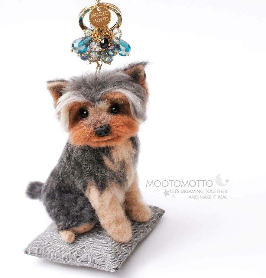 Yorkie From Real Look Series😄🐶💞
#reallookseriesmootomotto #yorkie