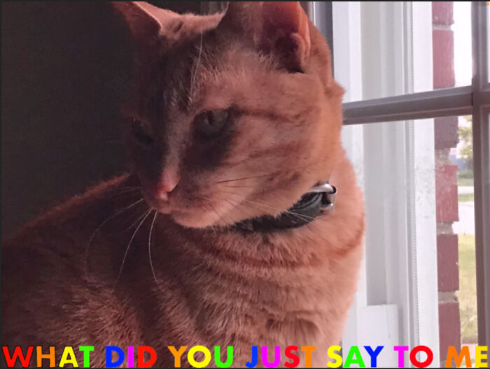 What Did You Just Say To Me