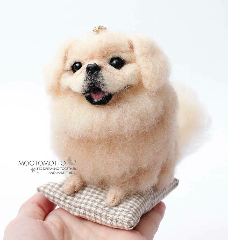 Real Look Pekingese 💞🙌
#reallookseriesmootomotto
#pekingese